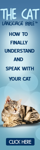 The Cat Language Bible